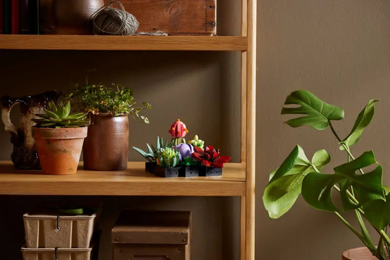 LEGO Succulents (10309)