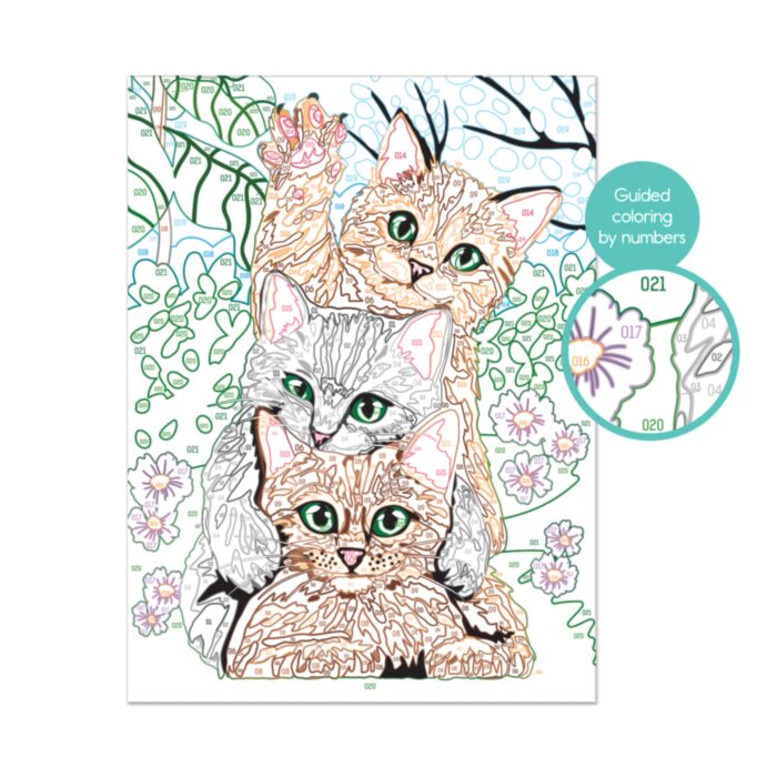 FUNNY KITTENS PAINT & FRAME BY NUMBERS