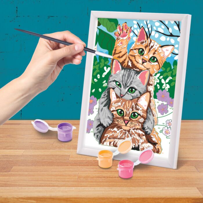 FUNNY KITTENS PAINT & FRAME BY NUMBERS