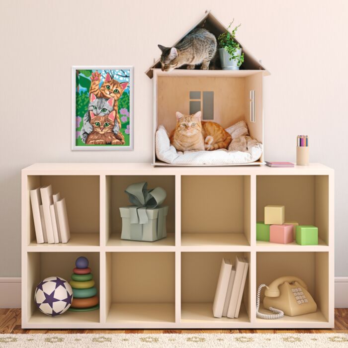FUNNY KITTENS PAINT & FRAME BY NUMBERS