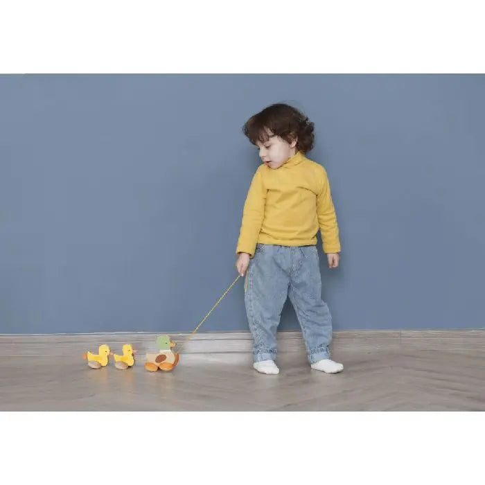 CLASSIC WORLD PULL PADDING DUCK