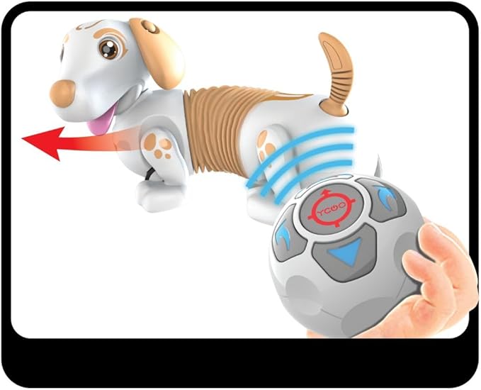 Robo Dash D