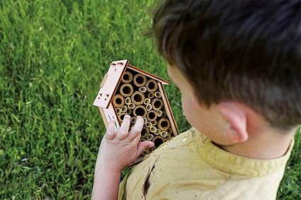 LABORATOIRE DES ABEILLES