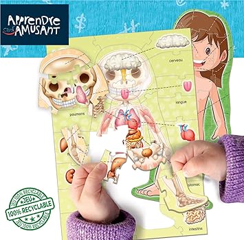 Educa - Learn It's Fun. The Human Body