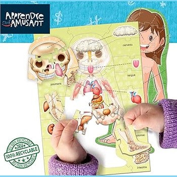 Educa - Learn It's Fun. The Human Body by Educa