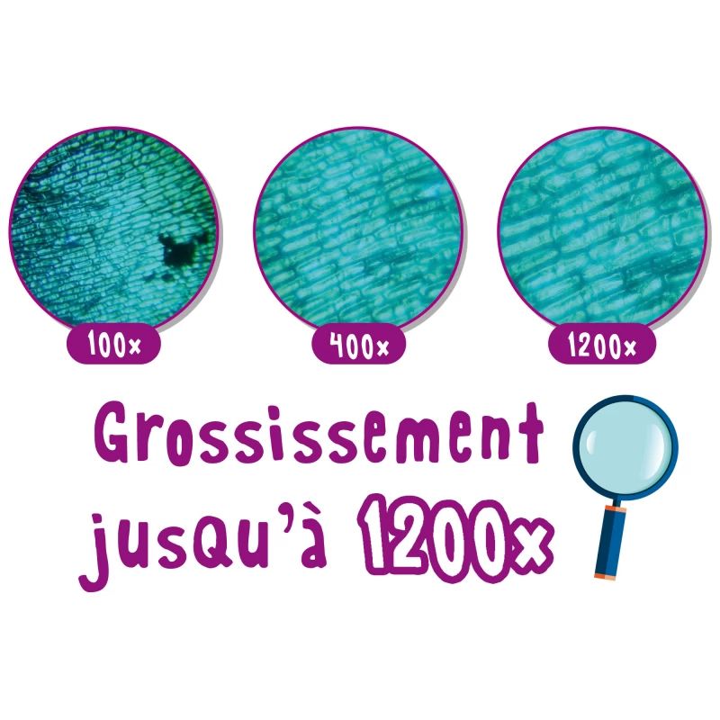 LE GRAND LABORATOIRE DE LA RECHERCHE SCIENTIFIQUE