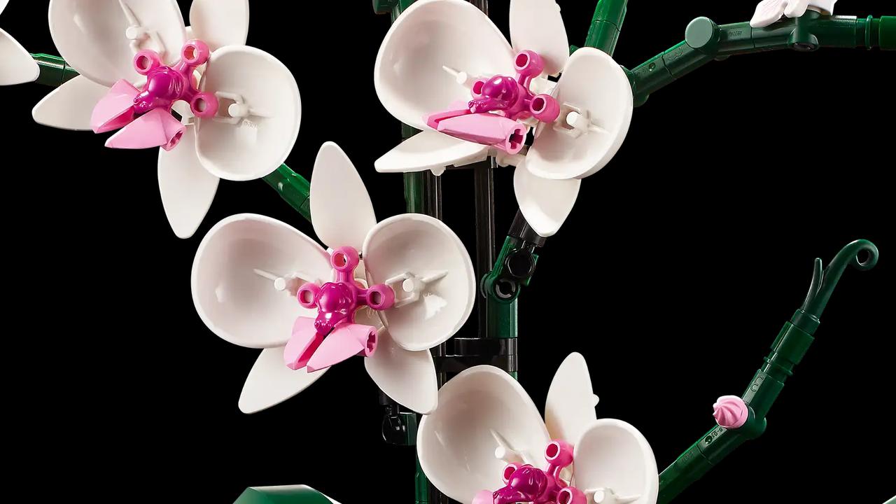 LEGO Orchid (10311)