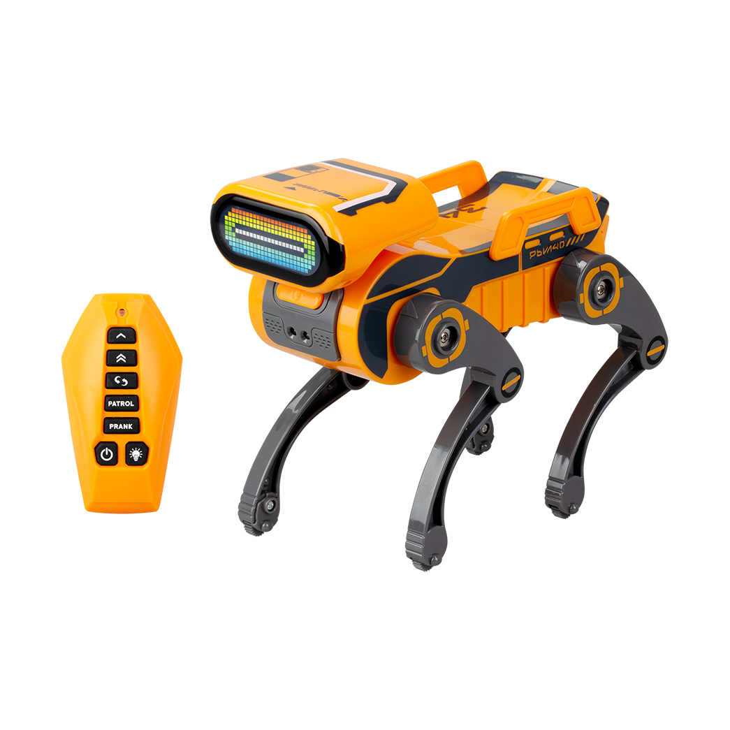 ROBO EXPRESS by Silverlit