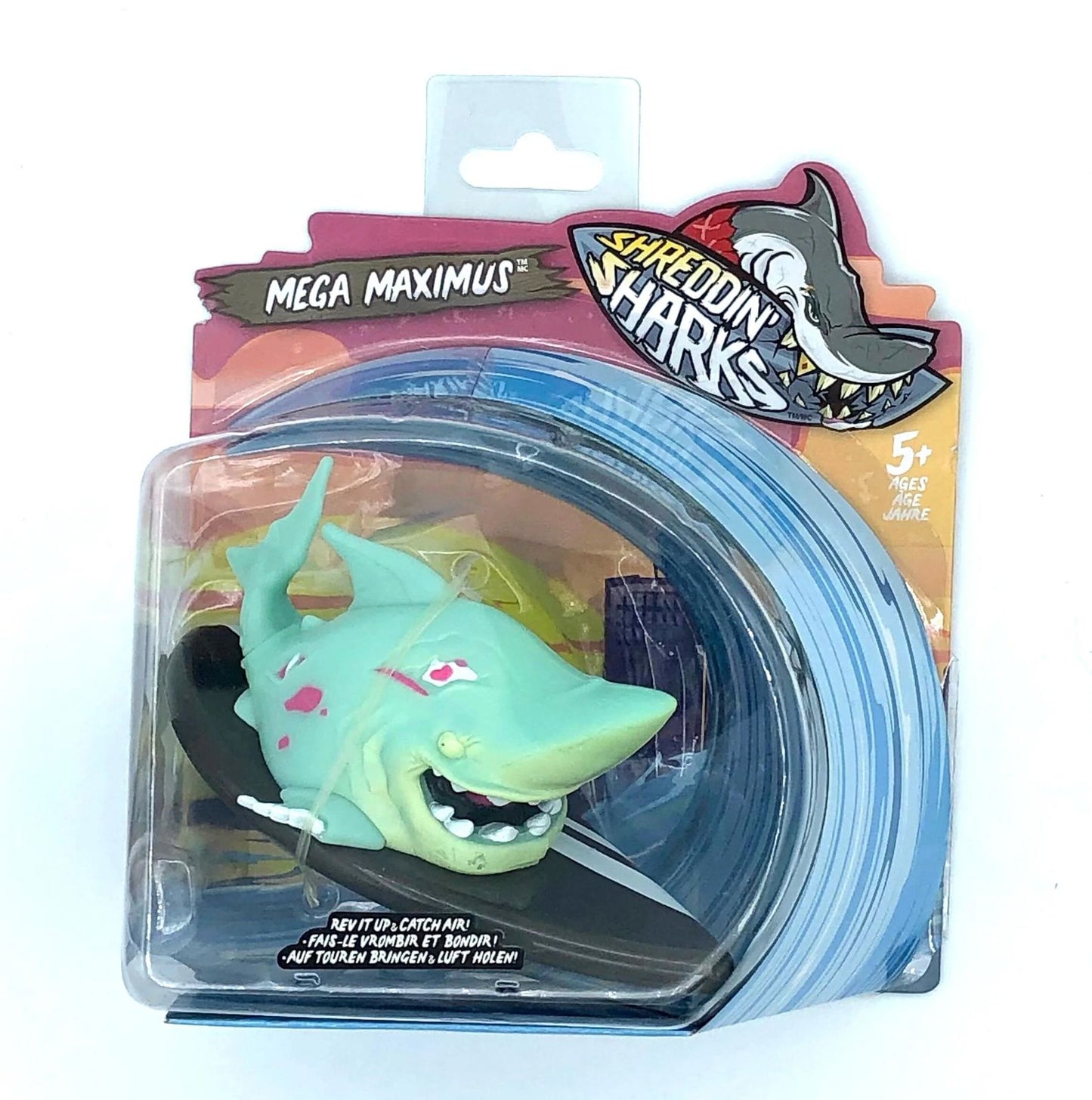 SHREDDIN SHARKS ASSORTED