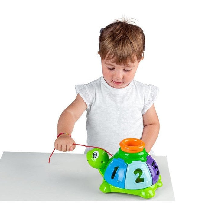 CHICCO Turtle sort & surprise by Chicco
