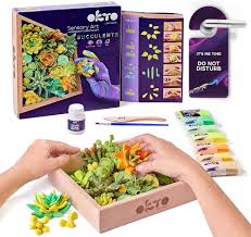 Wood&Craft DIY Succulents TM OKTO 21*21 cm Energy 10009