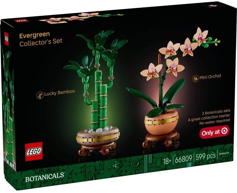 BOTANICAL Evergreen Collector's Set (66809)