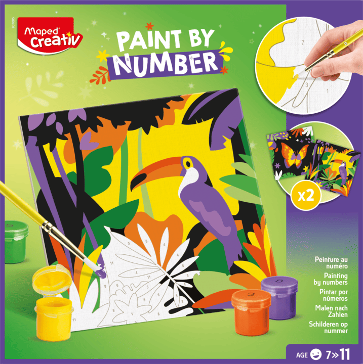 Paint by Number - TUCAN & BUTTERFLY