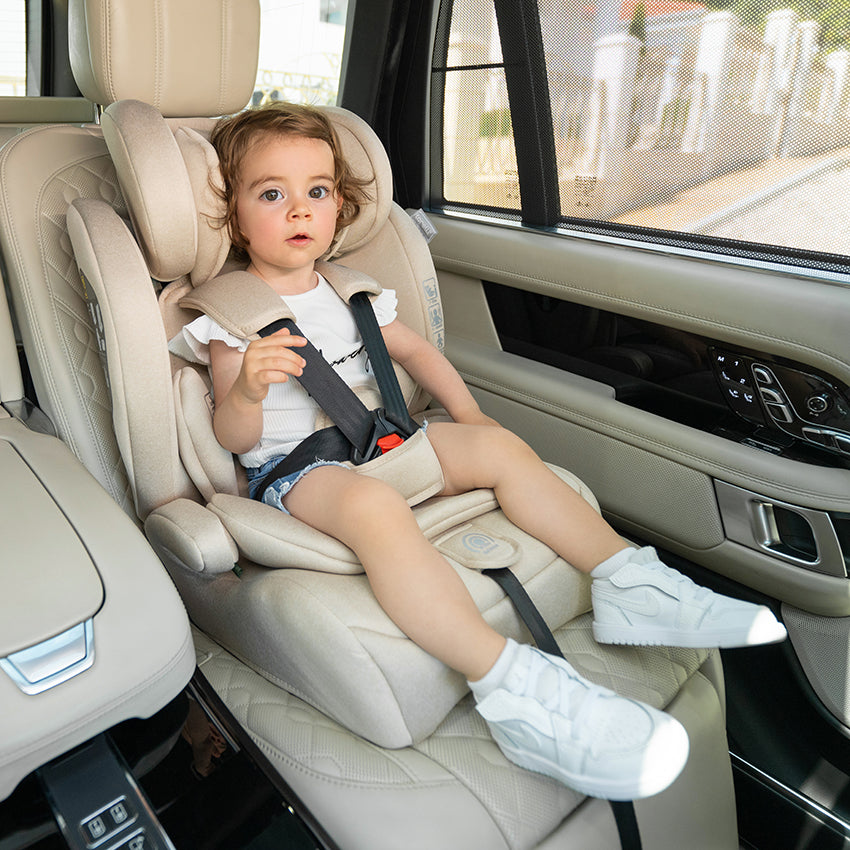 LORELLI Adventure Car Seat