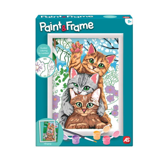 FUNNY KITTENS PAINT & FRAME BY NUMBERS
