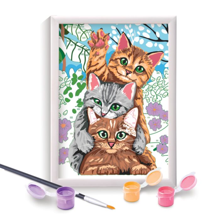 FUNNY KITTENS PAINT & FRAME BY NUMBERS
