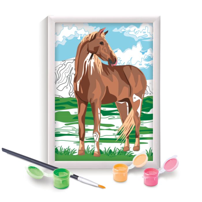 WILD HORSE PAINT & FRAME BY NUMBERS