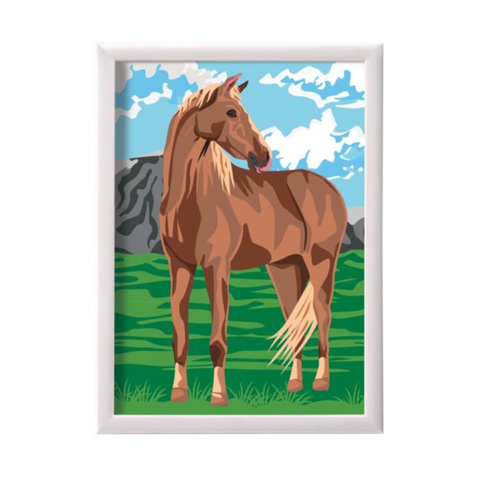 WILD HORSE PAINT & FRAME BY NUMBERS