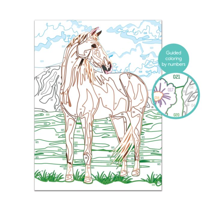 WILD HORSE PAINT & FRAME BY NUMBERS