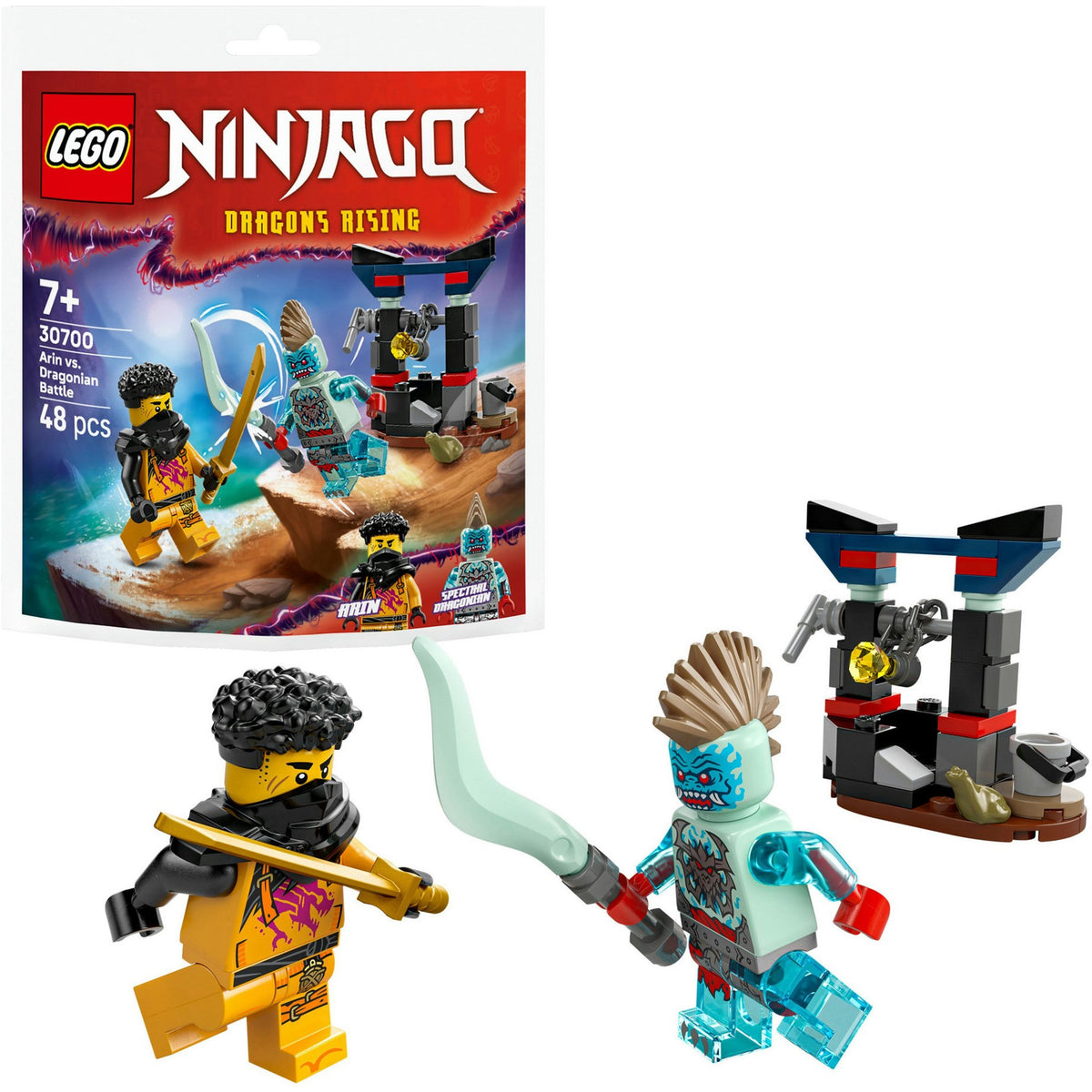 LEGO Ninjago Arin vs. Dragonian Battle (30700) by Ninjago