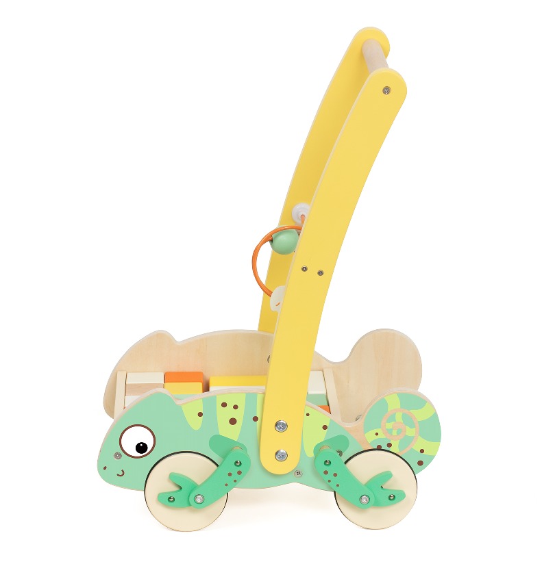 Chameleon Baby Walker with Blocks