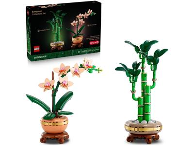BOTANICAL Evergreen Collector's Set (66809)