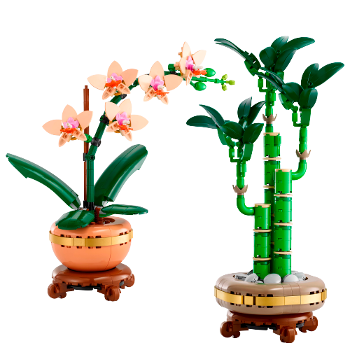 BOTANICAL Evergreen Collector's Set (66809)