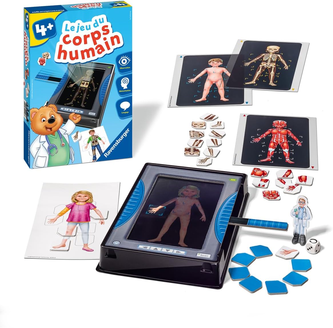 LE JEU DU CORPS HUMAIN