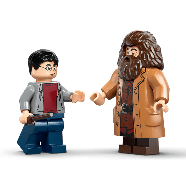 LEGO Hagrid & Harry's Privet Drive Escape (76459) by LEGO