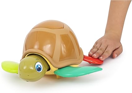 TURTLE FUN
