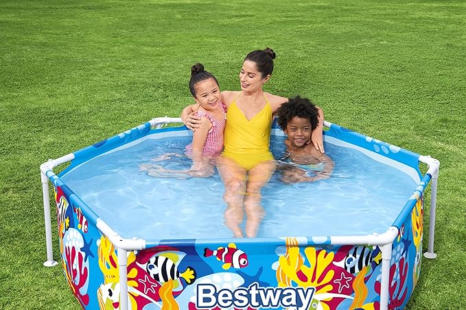 Bestway Steel Pro Above Ground Pool with Sun Shade
