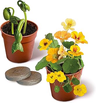 LE GRAND COFFRET DU SCIENTIFIQUE