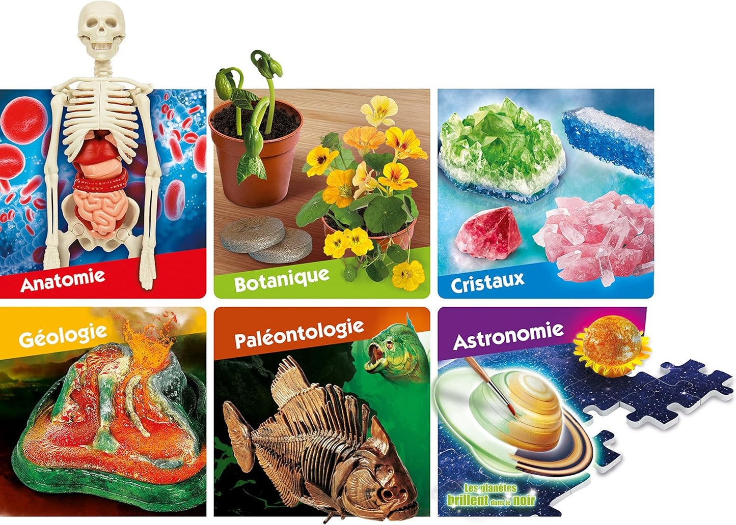 LE GRAND COFFRET DU SCIENTIFIQUE