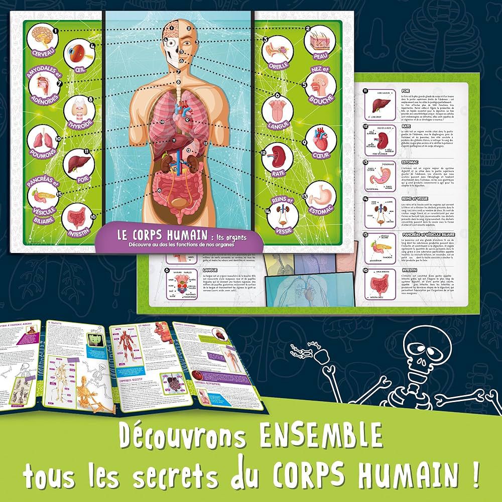 A LA DECOUVERTE DU CORPS HUMAIN by Lisciani