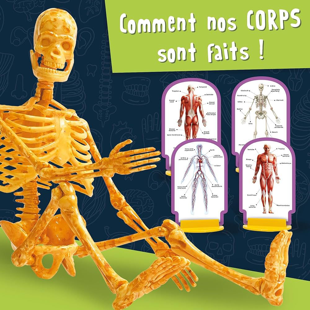 A LA DECOUVERTE DU CORPS HUMAIN by Lisciani