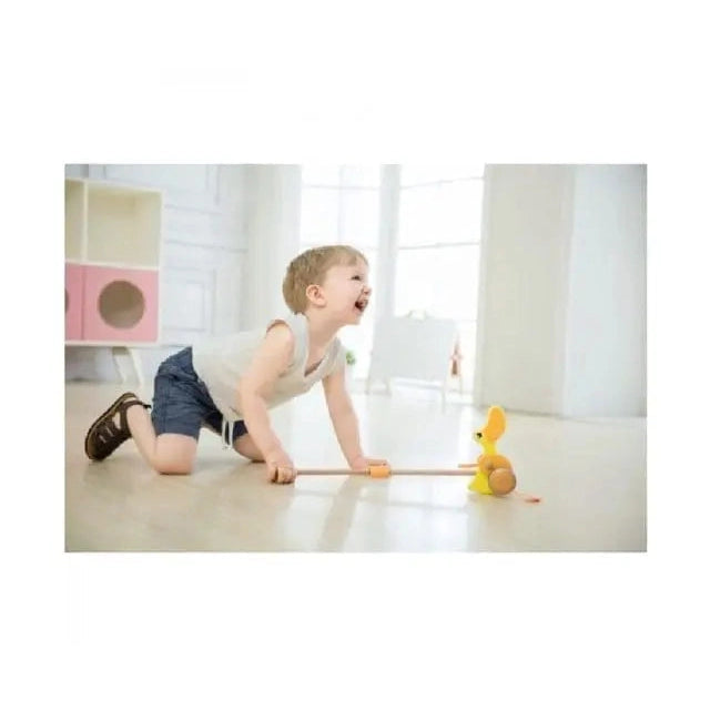 CLASSIC WORLD PUSH DUCK by Classic World