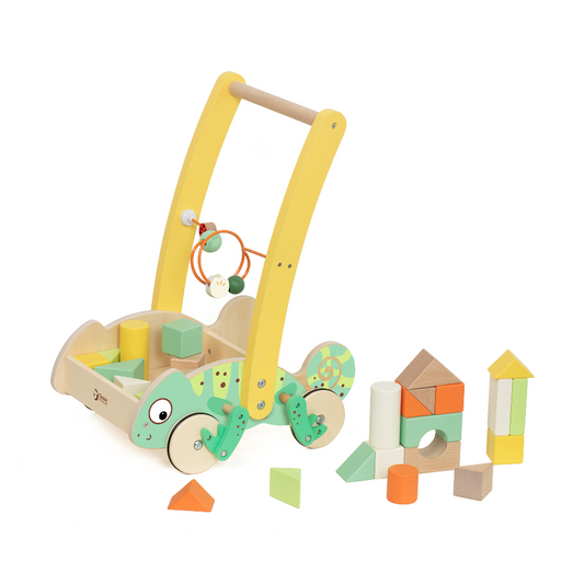 Chameleon Baby Walker with Blocks by Classic World