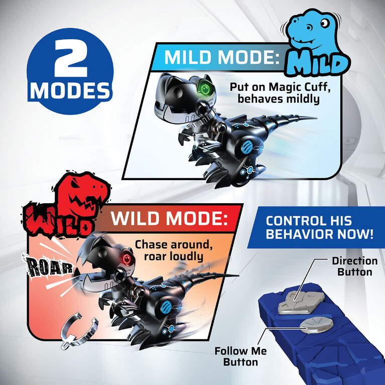 YCOO TRAIN MY DINO 2