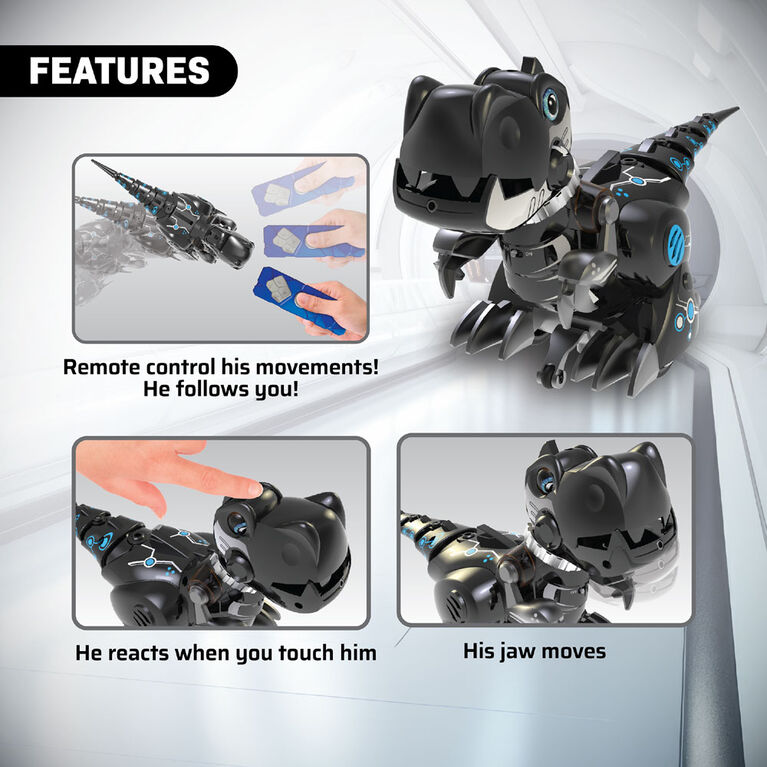 YCOO TRAIN MY DINO 2