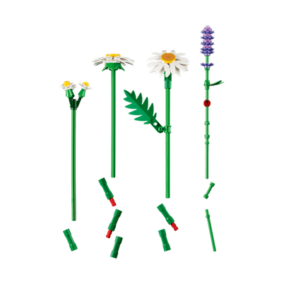 LEGO Daisies (11508) by LEGO