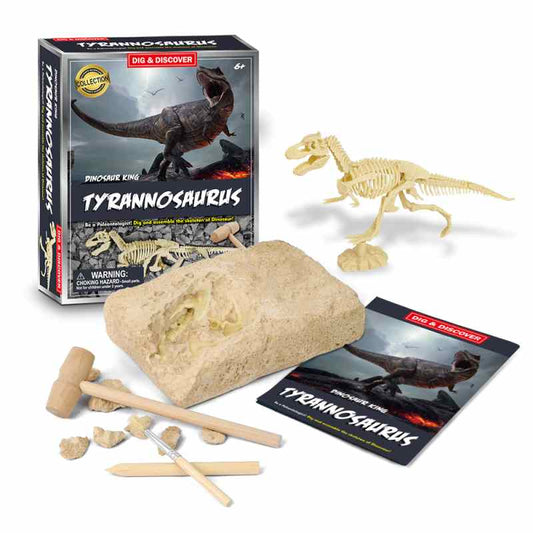 Dig & Discover Assorted by Playmates Toys