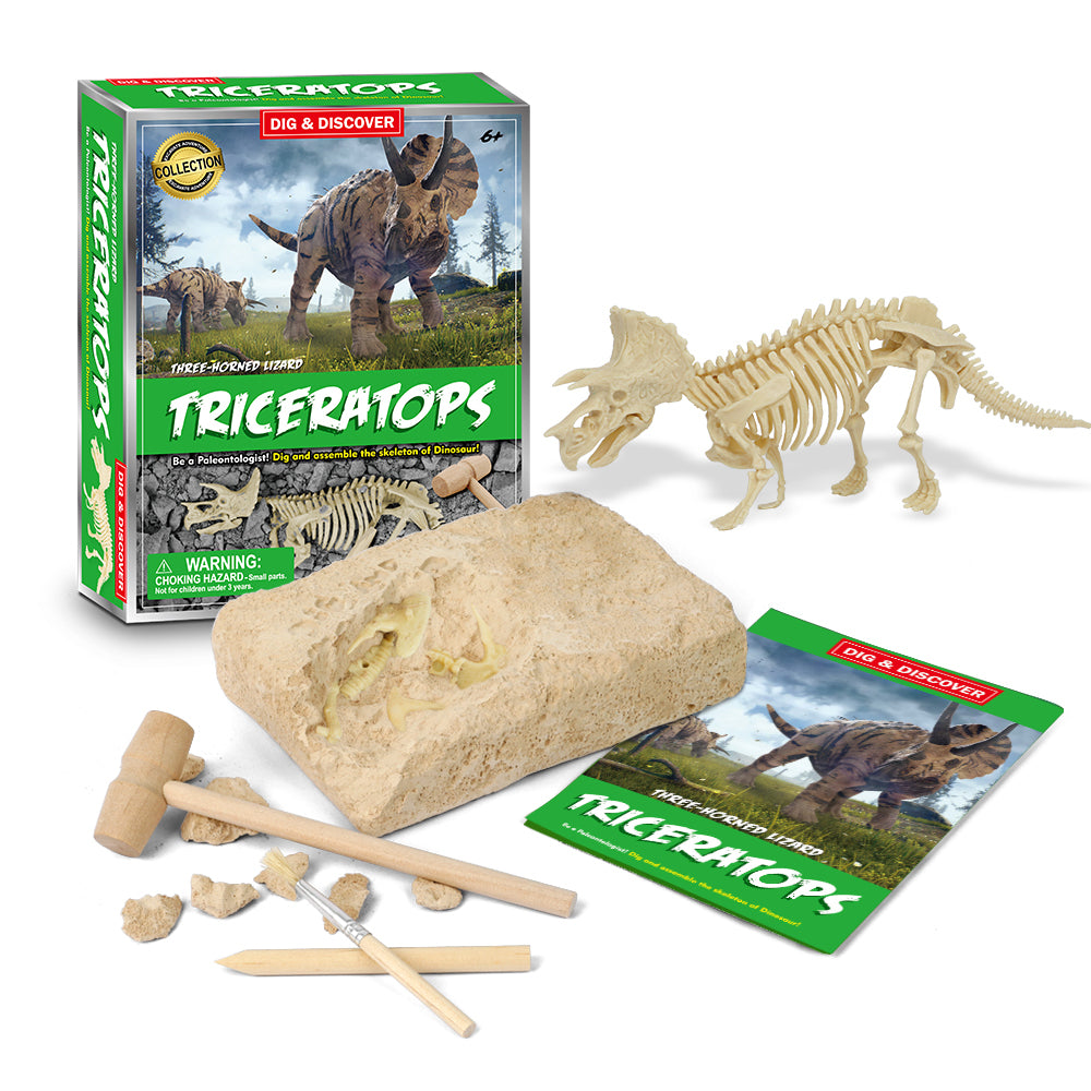 Dig & Discover Assorted by Playmates Toys