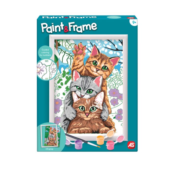 AS Art FUNNY KITTENS PAINT & FRAME BY NUMBERS