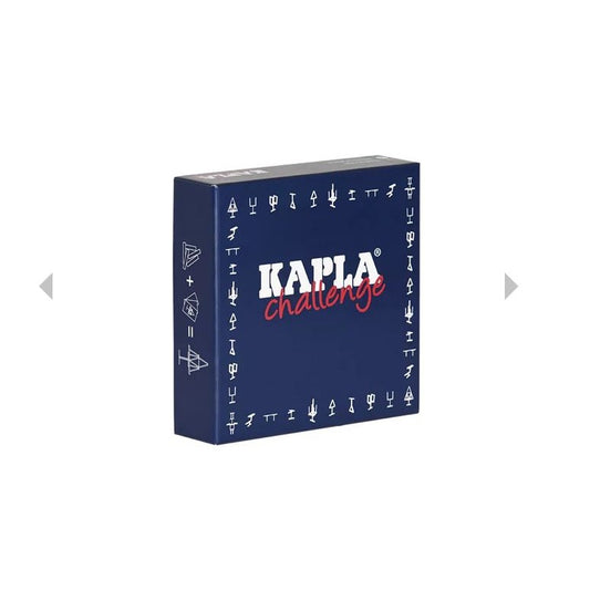 Kapla challenge 16 planks by Kapla