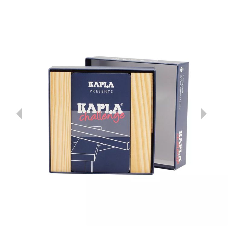 Kapla challenge 16 planks by Kapla