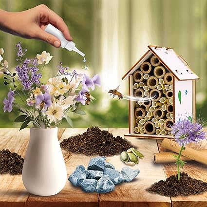 LABORATOIRE DES ABEILLES by Lisciani