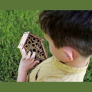 LABORATOIRE DES ABEILLES by Lisciani