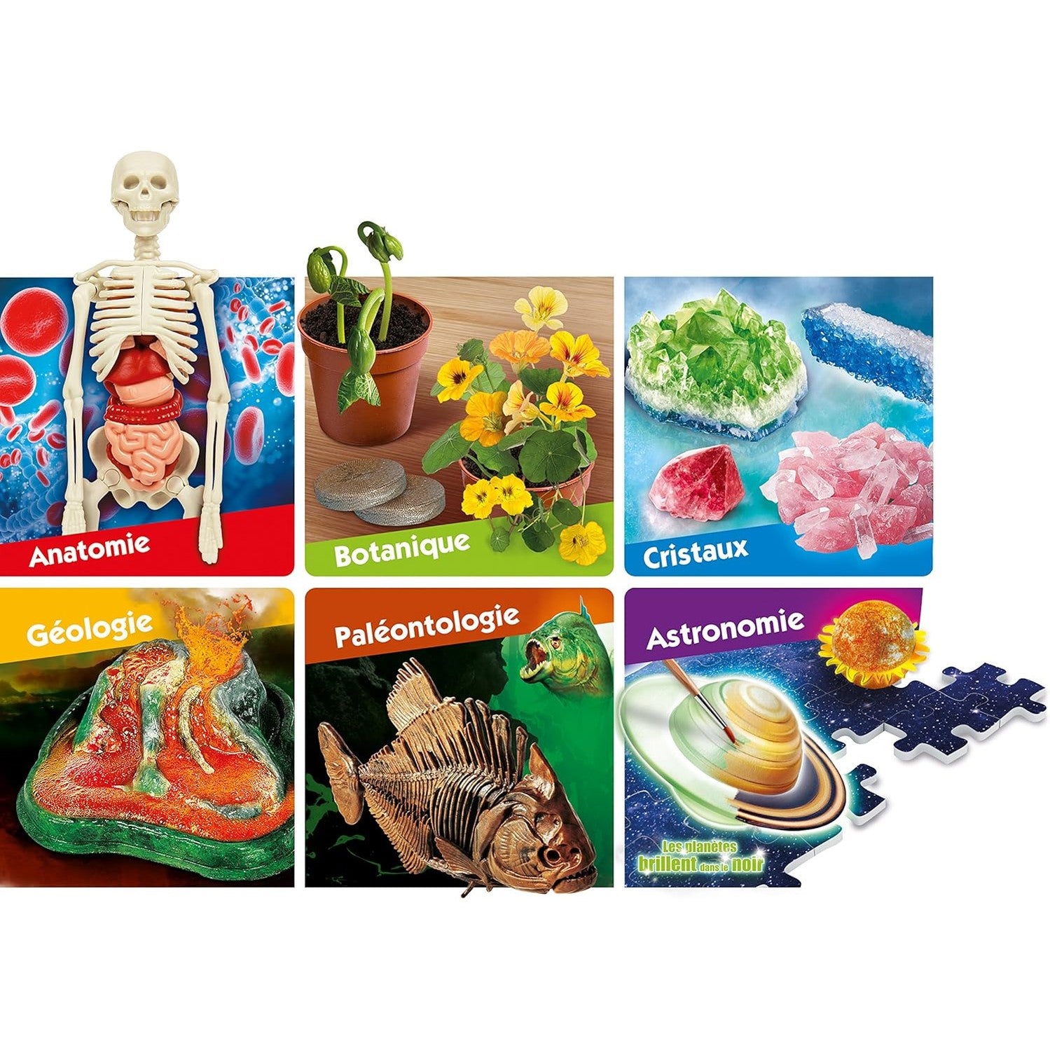 LE GRAND COFFRET DU SCIENTIFIQUE by Clementoni