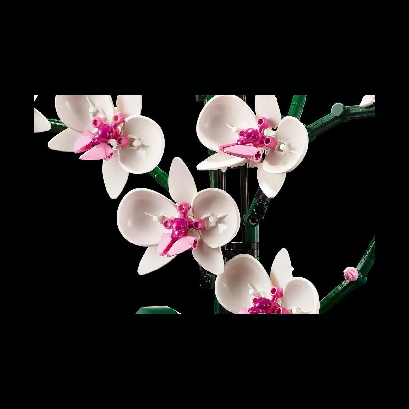 LEGO Orchid (10311) by LEGO