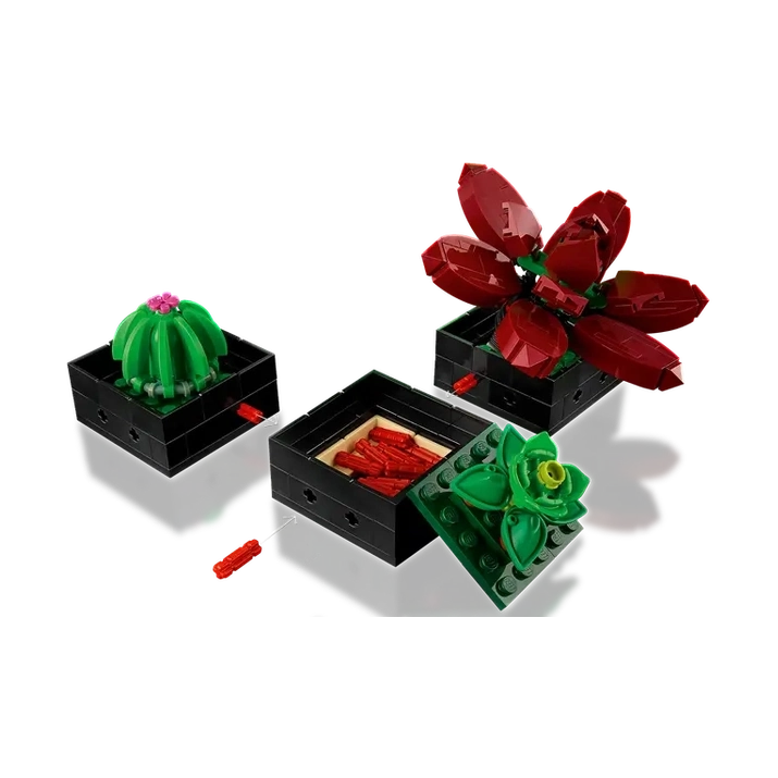 LEGO Succulents (10309) by LEGO